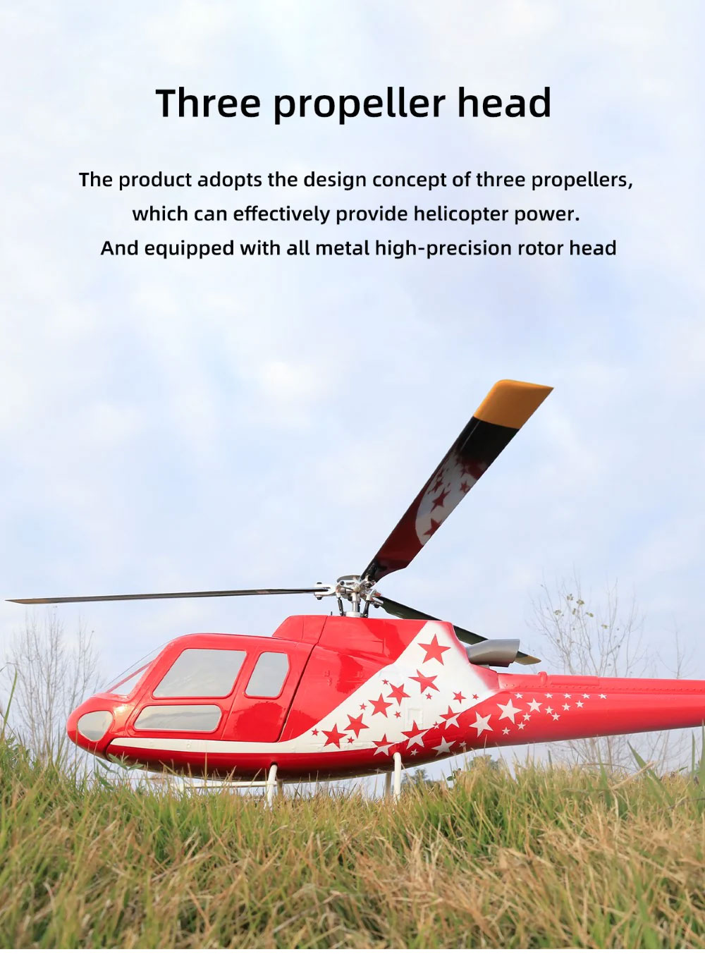 Fly Wing Small Squirrel AS350