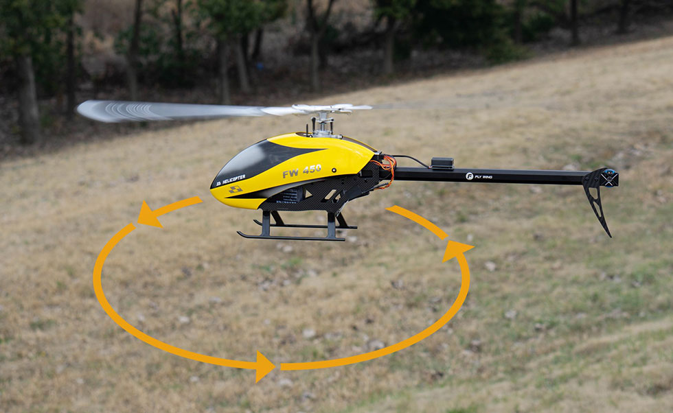 Fly Wing FW450L V2.0