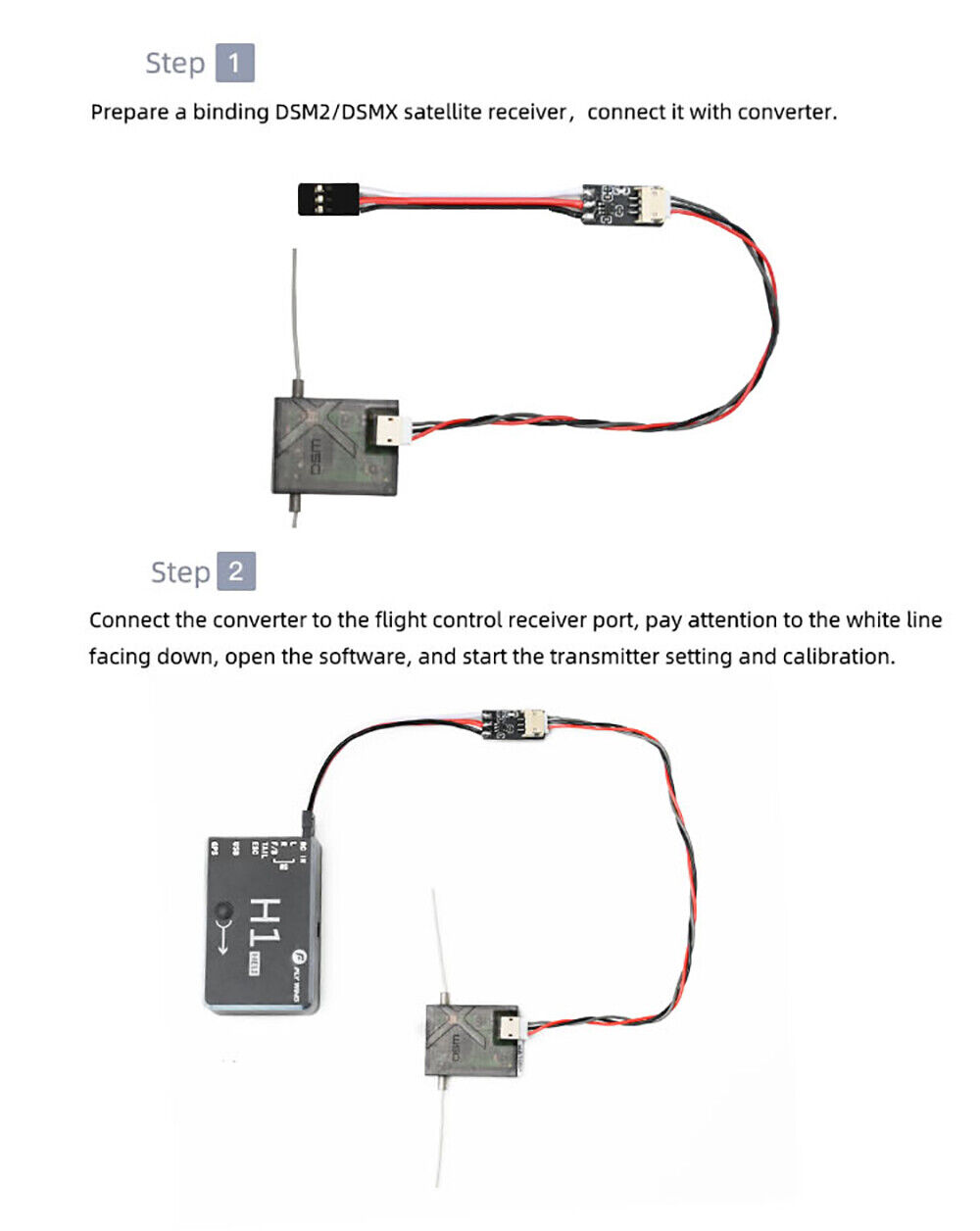 Fly Wing Flight Control H1
